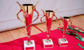 Campeonato de TaiChi